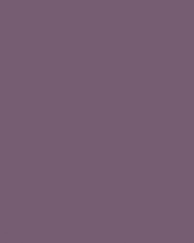 L 7167 SU Viola 2800*2070*18 Doprodej