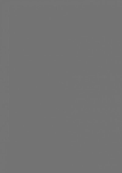 AbsEG U780 ST9    23*2