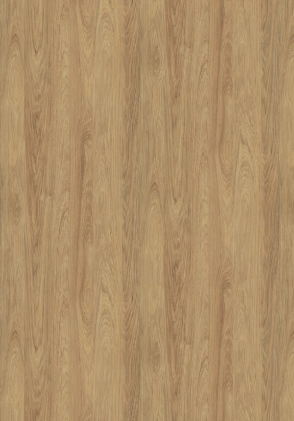 AbsEG H3730 ST10    43*2