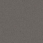 AbsEG F620 ST87    43*1,5