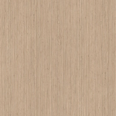 AbsEG H305 ST12 23*0,8 AbsEG H305 ST12 23*0,8