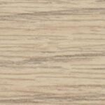 Abs dub 256500 22*0.5 G s LEPIDLEM /5500 SU