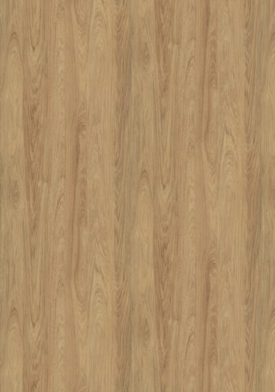 AbsEG H3730 ST10 43*1,5 AbsEG H3730 ST10 43*1,5