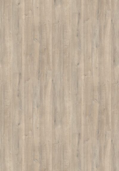 AbsEG H1312 ST10    23*2