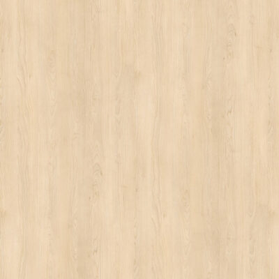 AbsEG H1732 ST9   43*2