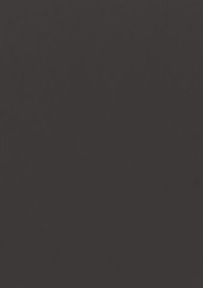 AbsEG U968 ST9  22*0,4