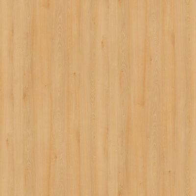 AbsEG H1910 ST9   22*0,4