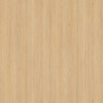 AbsEG H3157 ST12    43*1,5