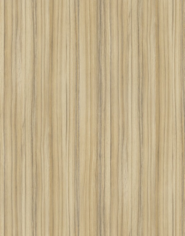 L 8995 SN  Kokos 2800*2070*18