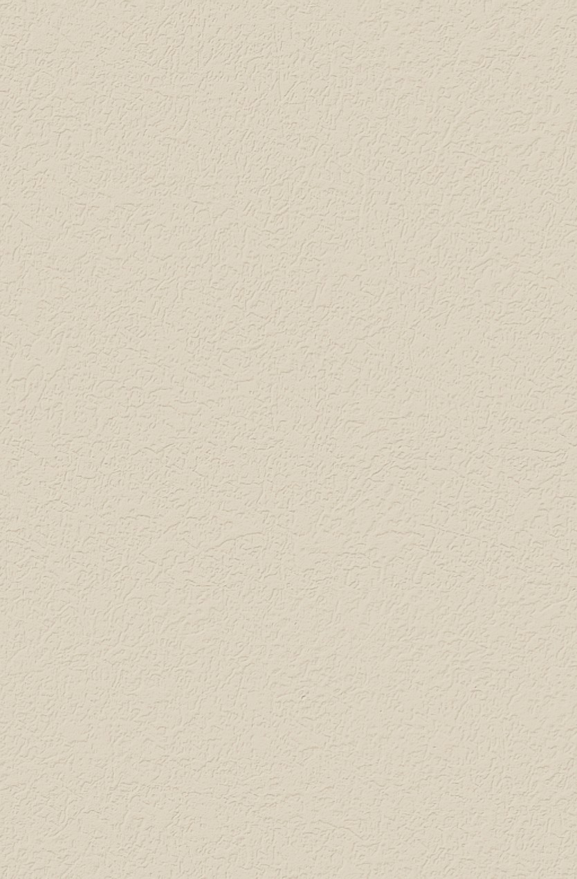 PD 7045 RS champ. 4100*600*38