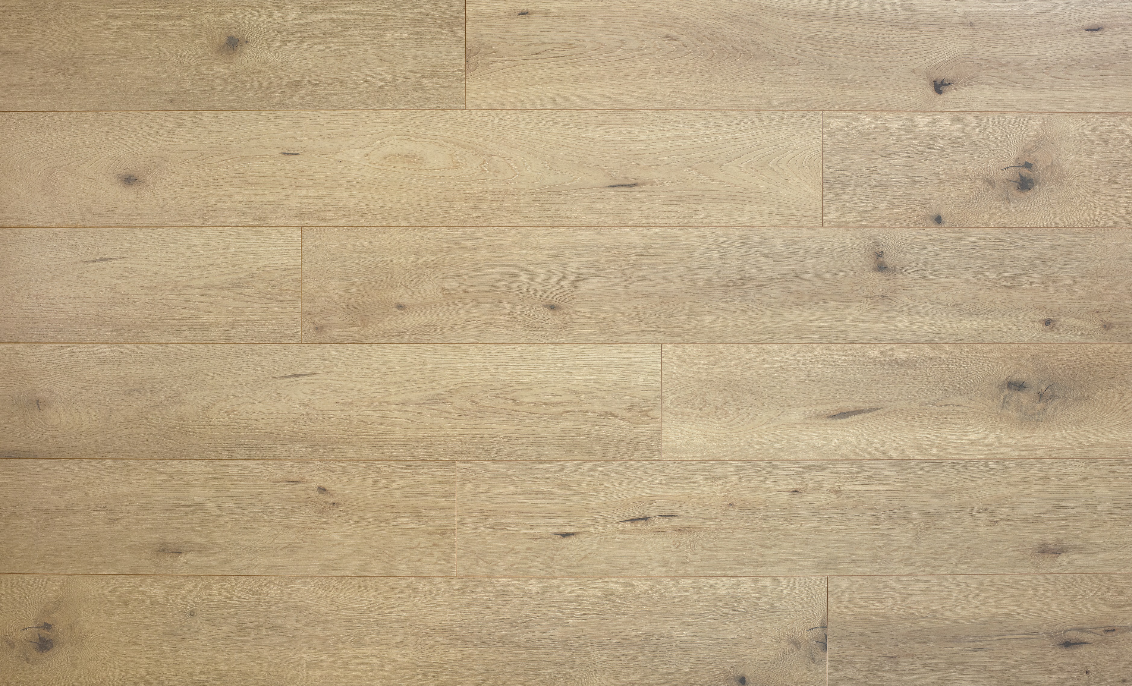 Swiss_Noblesse V4 WIDE D 4660 PM Swiss_Noblesse V4 WIDE D 4660 PM