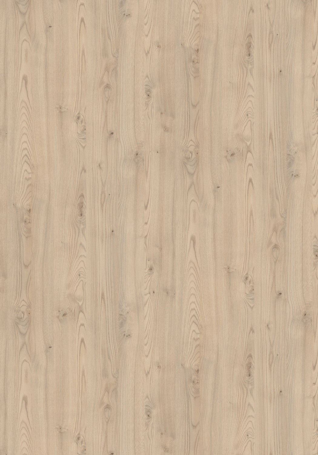 AbsEG H1710 ST10 23*0,8 AbsEG H1710 ST10 23*0,8