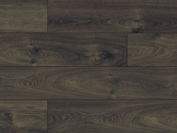 Swiss_SyncChrome D 2025 CP Swiss_SyncChrome D 2025 CP