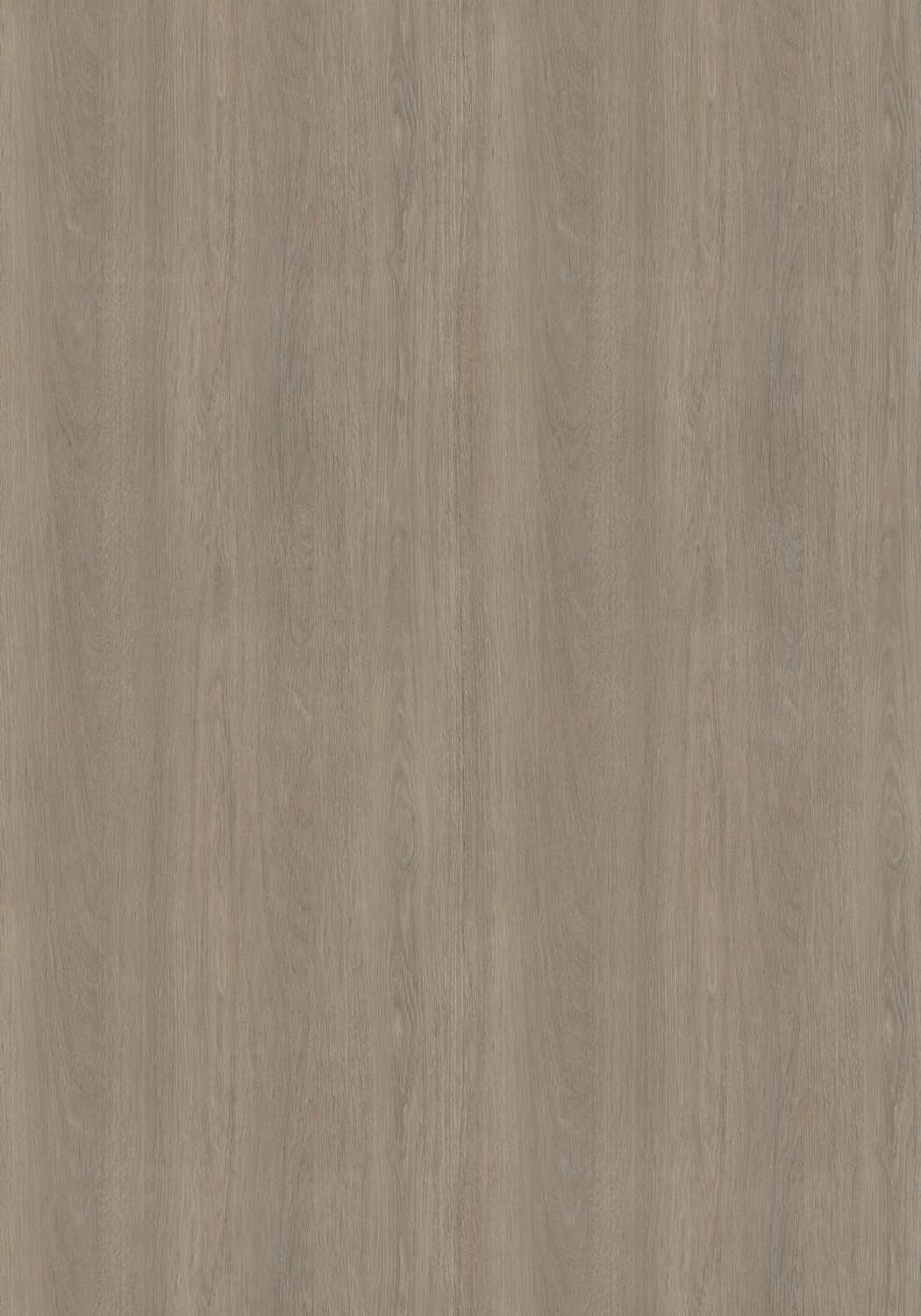 AbsEG H3146 ST19 23*0,8 AbsEG H3146 ST19 23*0,8