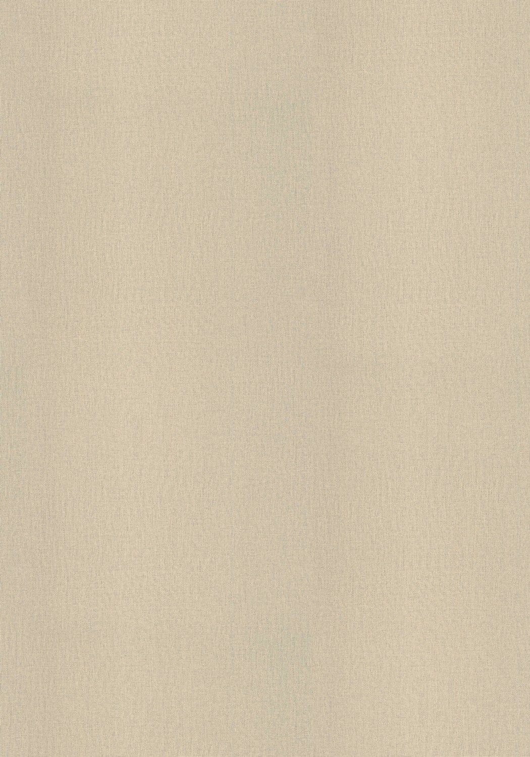 AbsEG F416 ST10  23*0,8