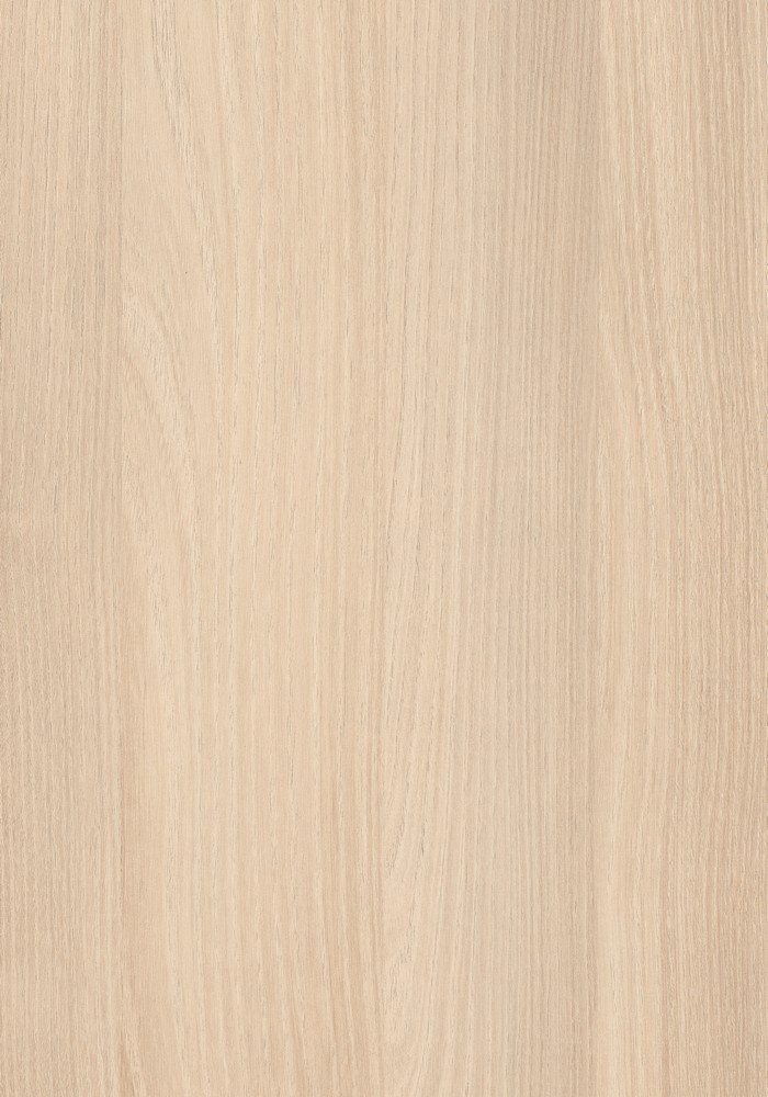 AbsEG H1277 ST9 23*0,8 AbsEG H1277 ST9 23*0,8