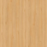 AbsEG H1910 ST9   43*2