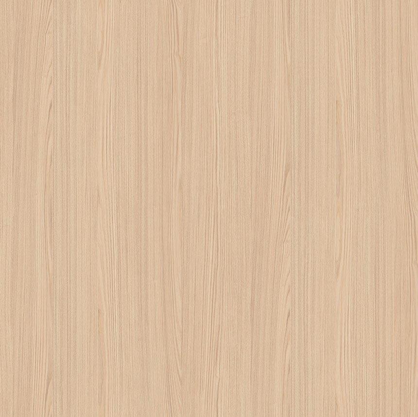 AbsEG H1204 TM22 23*1 AbsEG H1204 TM22 23*1