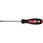 Šroubovák TORX TX10x80x170mm Narex Bystřice 808110 Šroubovák TORX TX10x80x170mm Narex Bystřice 808110