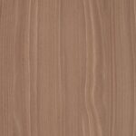 AbsEG H3786 ST19     23*0,8