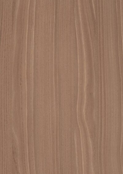 AbsEG H3786 ST19     23*0,8