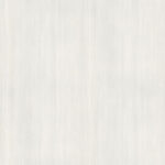 AbsEG H3195 ST19   23*2