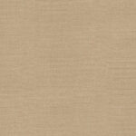 AbsEG F685 ST10   43*2