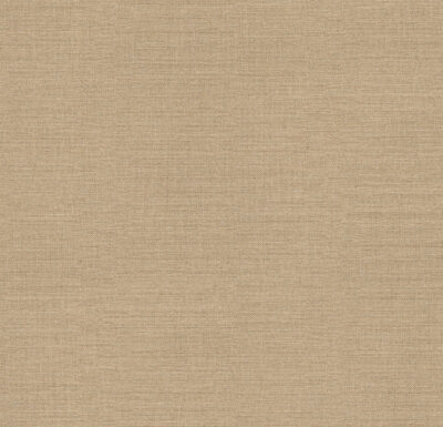 AbsEG F685 ST10 43*2 AbsEG F685 ST10 43*2