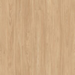 AbsEG H1242 ST10   23*0,8