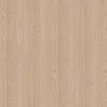 AbsEG H1362 ST12   43*2