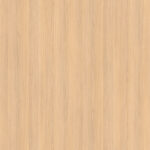 AbsEG H3152 ST19   23*2