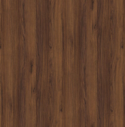 AbsEG H1307 ST19   43*2