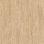 AbsEG H1367 ST40   23*2