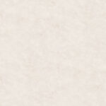 AbsEG F229 ST75    43*1,5