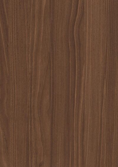 AbsEG H3787 ST19     23*0,8