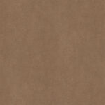 AbsEG F323 ST20   43*2