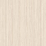 AbsEG H1223 ST19   23*2