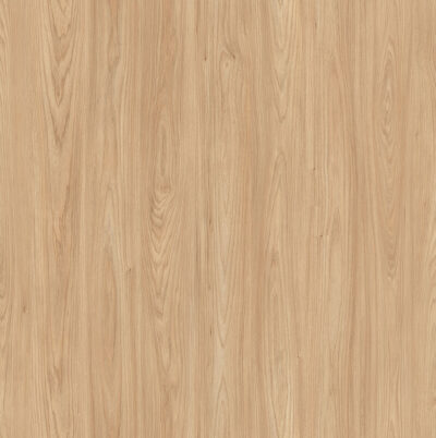 AbsEG H1242 ST10 23*2 AbsEG H1242 ST10 23*2