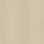 AbsEG F416 ST10    23*2