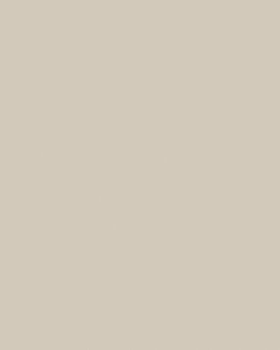 L 7045 AM/BS MDF Acrylic mat 2800*1300*18,3